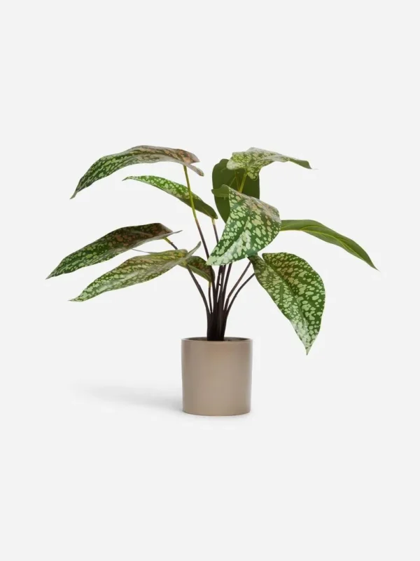 Vaso de Plantas "Jet Home Large Snow Bagonia Potted Plant"