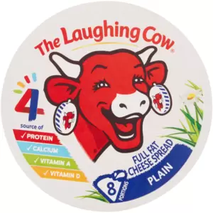 Fatias de Queijo Integral The Laughing Cow 120g